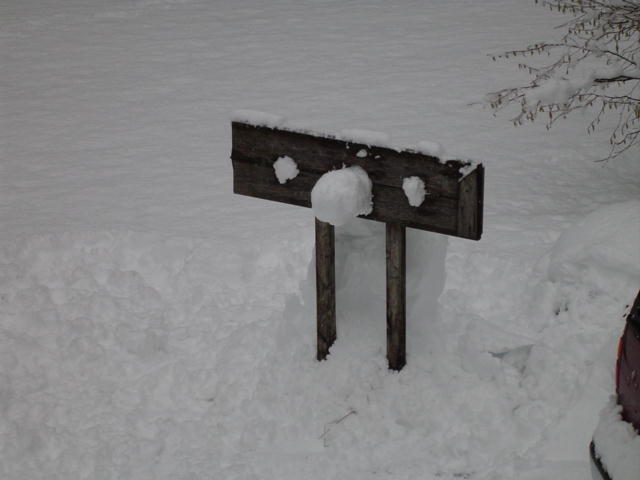  Snowman in the stocks. 